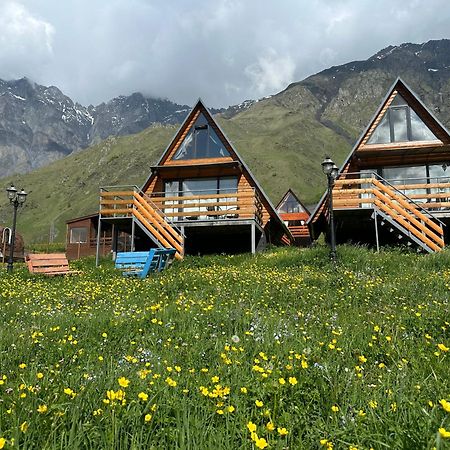 T&T Cottage Kazbegi Extérieur photo